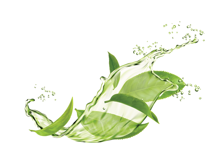 A green leaf in water to represent the fresh, natural effect of aesthetic medicine.